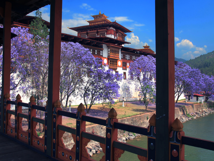 Tour Image
