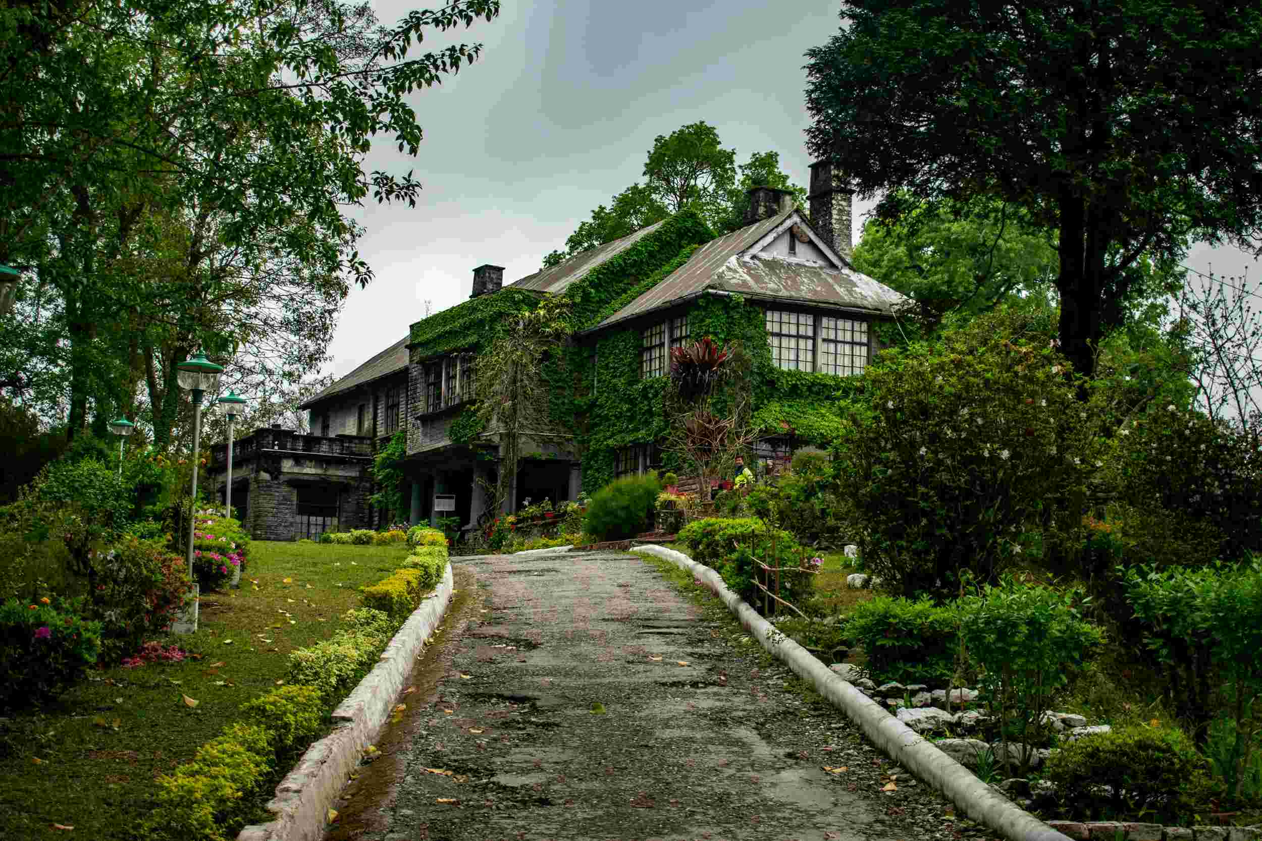 Kalimpong Sightseeing Itinerary | 2N & 3D Tour Plan