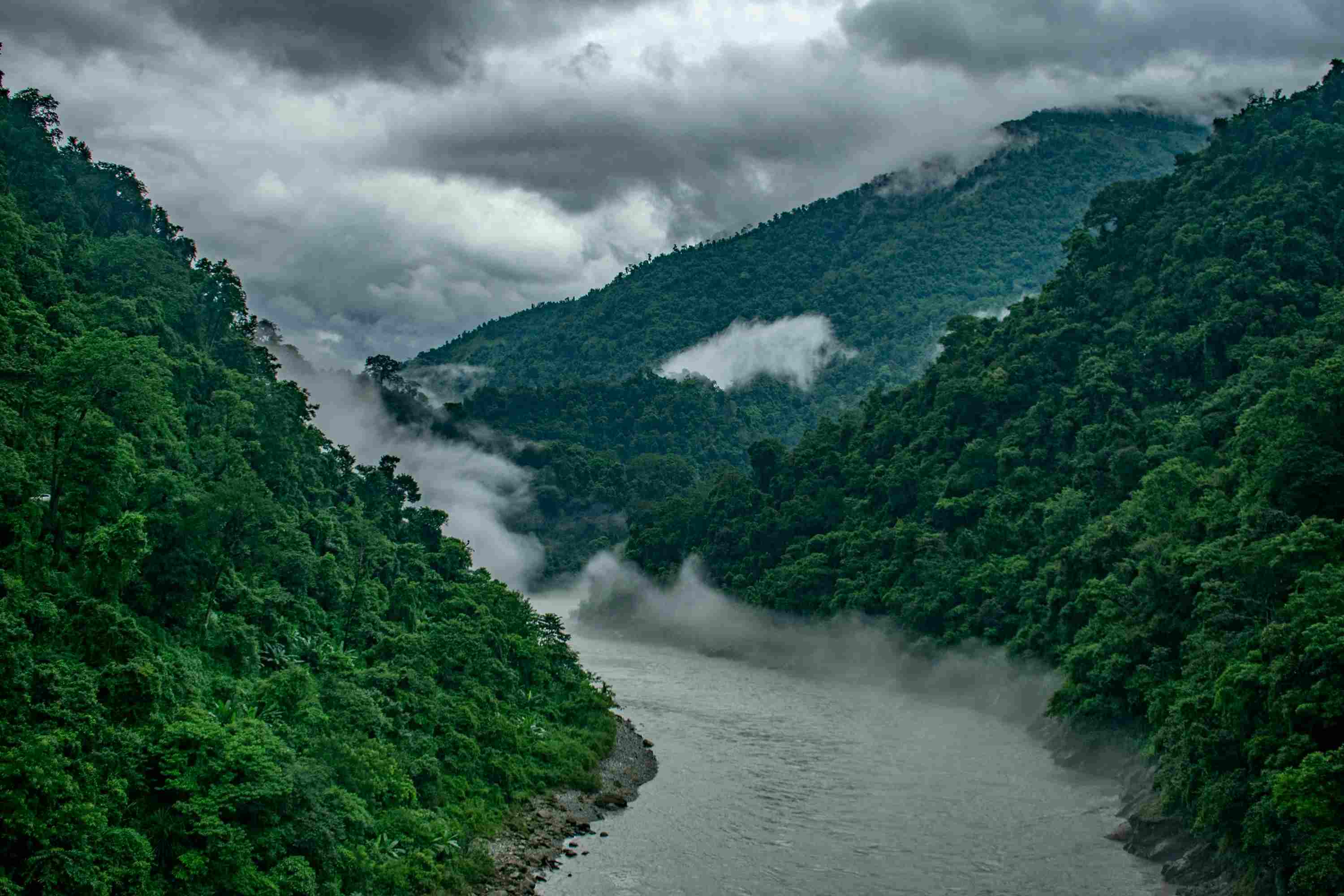 Trustified Travel Agency in Siliguri 2026