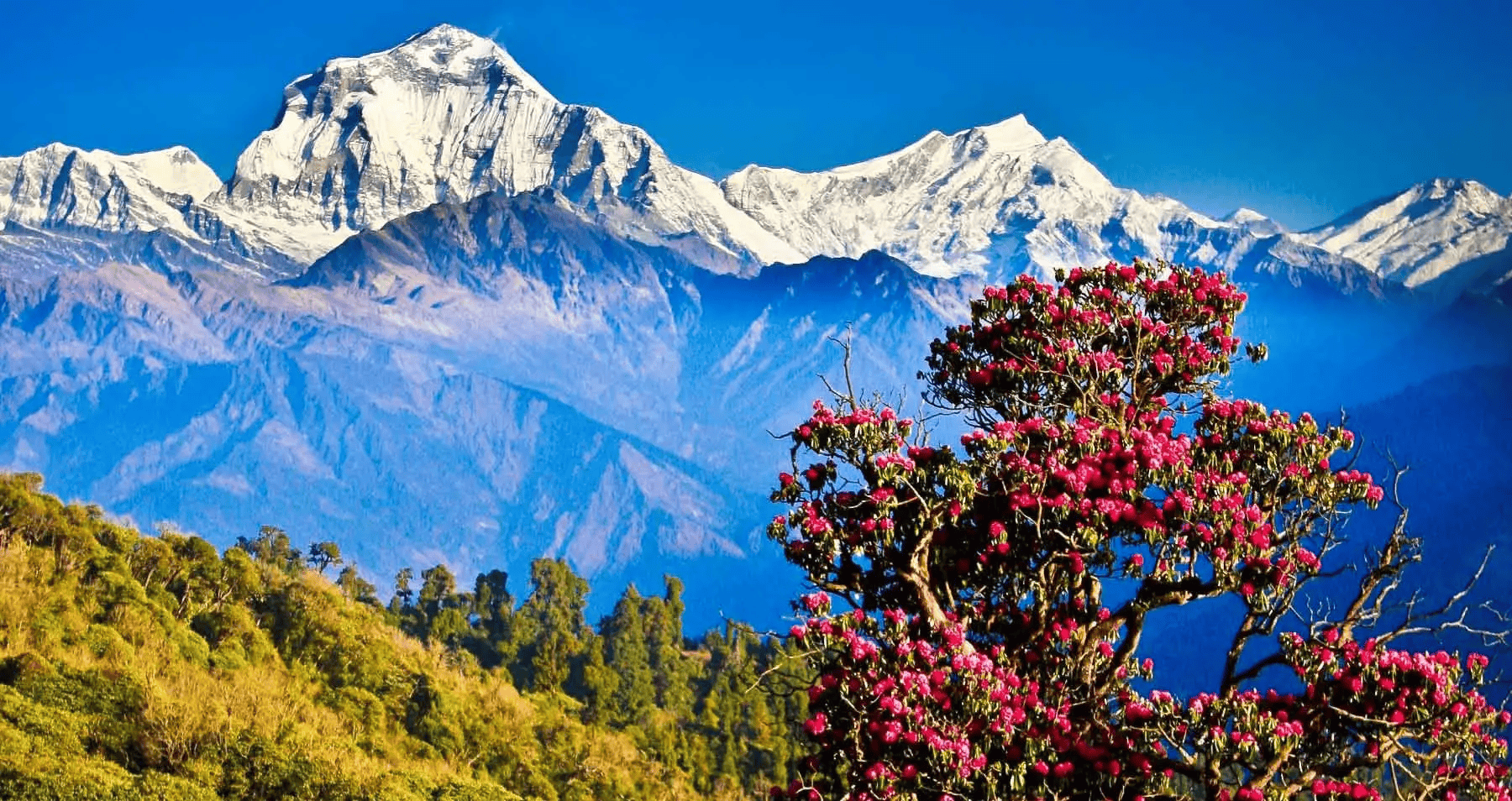 Nepal Signature Journey
