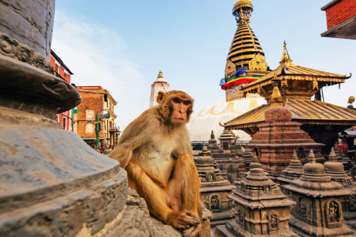 Explore Kathmandu